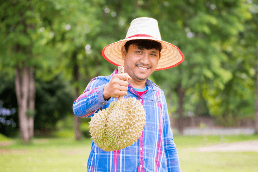 home.fairyTaleTeaser